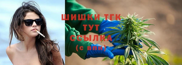 ПСИЛОЦИБИНОВЫЕ ГРИБЫ Арсеньев
