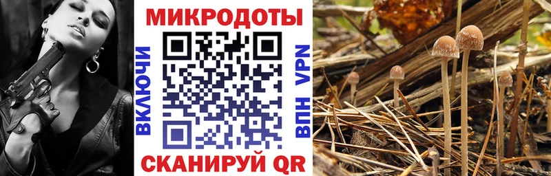 МЕГА ONION  Новоалтайск  Галлюциногенные грибы Psilocybine cubensis  darknet Telegram  купить  цена 